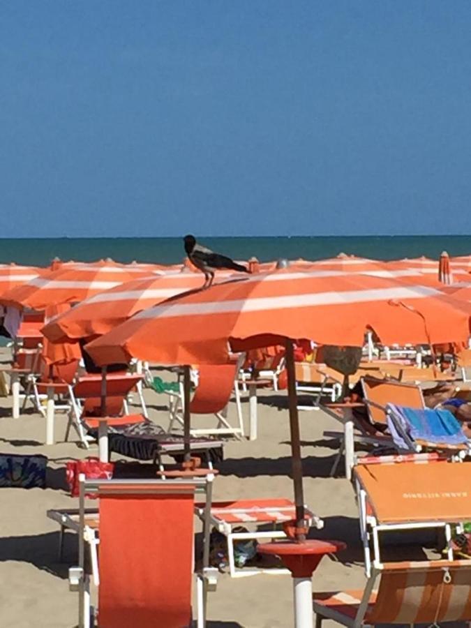 Verde Mare "Appartamenti Per Vacanze" Tortoreto Екстериор снимка